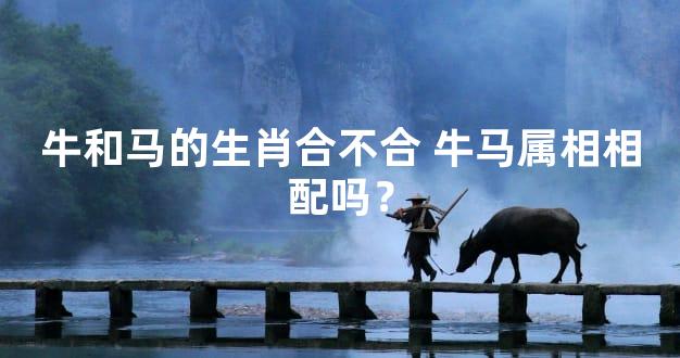 牛和马的生肖合不合 牛马属相相配吗？